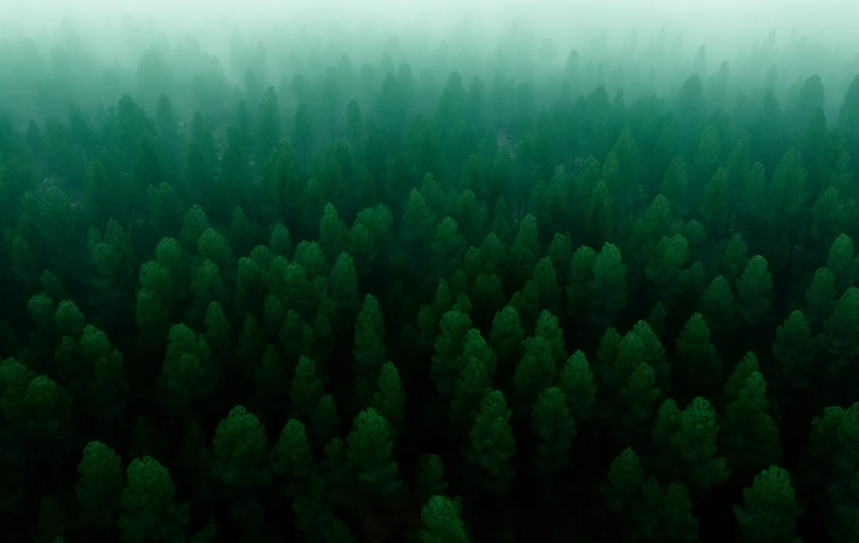 Conexión natural